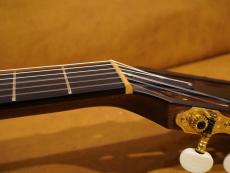 Taylor 512ce-N JPN LTD 2017_7