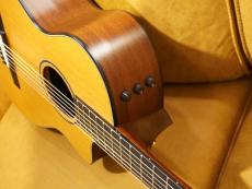 Taylor 512ce-N JPN LTD 2017_8