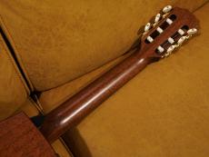 Taylor 512ce-N JPN LTD 2017_10