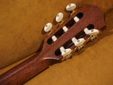 Taylor 512ce-N JPN LTD 2017_11