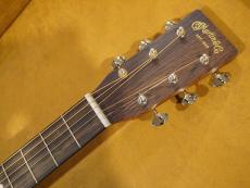 Martin D-X2E BRAZ SP11_8