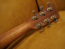 Martin D-X2E BRAZ SP11_11