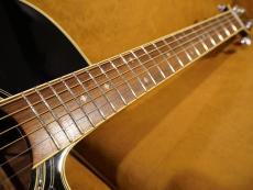 Takamine TDP561C BL_5