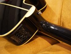 Takamine TDP561C BL_8