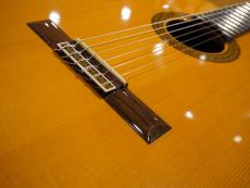ASTURIAS CUSTOM S_6