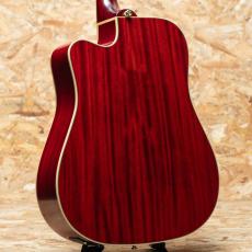 Epiphone Inspired by Gibson Hummingbird Standard EC CS_2