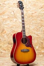 Epiphone Inspired by Gibson Hummingbird Standard EC CS_3