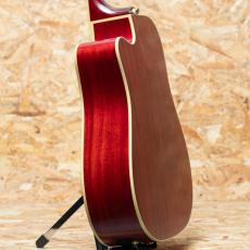 Epiphone Inspired by Gibson Hummingbird Standard EC CS_5