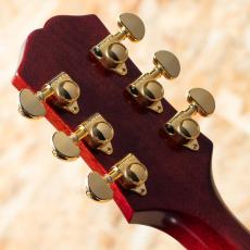 Epiphone Inspired by Gibson Hummingbird Standard EC CS_9