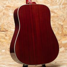 Epiphone Inspired by Gibson Hummingbird Standard_2