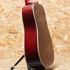 Epiphone Inspired by Gibson Hummingbird Standard_5