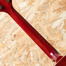 Epiphone Inspired by Gibson Hummingbird Standard_7