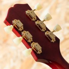 Epiphone Inspired by Gibson Hummingbird Standard_9