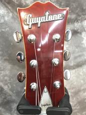 Guyatone SG-25T_4
