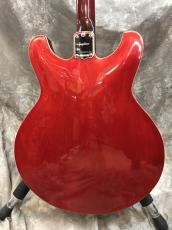 Guyatone SG-25T_7