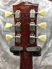 Tokai ALS94F_6