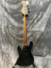 Bacchus WJB-1DX RSM_3