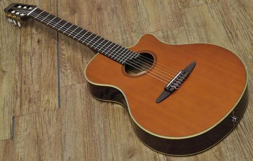 YAMAHA APX-7N