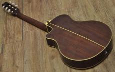 YAMAHA APX-7N_2