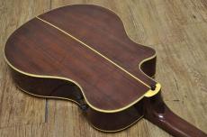 YAMAHA APX-7N_7
