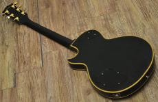 Edwards E-LP-98LTC_2