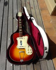 Silvertone ThinTwin1382L_11