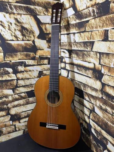 YAMAHA ヤマハ Model:GC22C【日本総本店2F 在庫品】