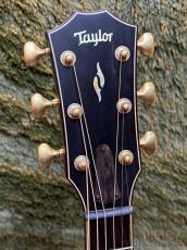 Taylor 【Taylor選定品‼】50th Anniversary Builders Edition 814ce LTD Shded Edge Burs t#1207314090_4