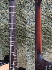 Taylor 50th Anniversary Builders Edition 314ce LTD Natural #1203154033【48回迄金利0%対象】_8
