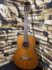 YAMAHA ヤマハ Model:CGX122MC 【日本総本店2F 在庫品】