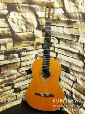 Robin Green ロビン・グリーン 1982年製 松・ローズウッド 【日本総本店2F 在庫品】_2