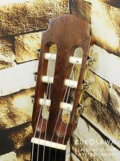 Robin Green ロビン・グリーン 1982年製 松・ローズウッド 【日本総本店2F 在庫品】_3