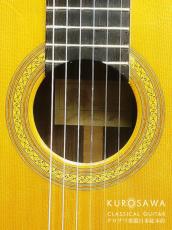 Robin Green ロビン・グリーン 1982年製 松・ローズウッド 【日本総本店2F 在庫品】_4