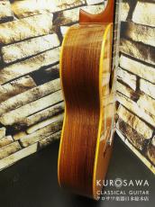 Robin Green ロビン・グリーン 1982年製 松・ローズウッド 【日本総本店2F 在庫品】_8