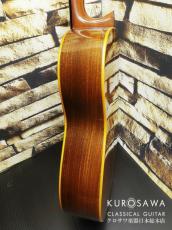 Robin Green ロビン・グリーン 1982年製 松・ローズウッド 【日本総本店2F 在庫品】_9