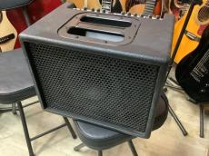 AER  COMPACT 60/2　アコースティックギターアンプ