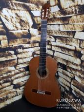 VICENTE CARRILLO ビセンテ・カリージョ 2012年製 Herencia 杉・ローズウッド ラティス 20フレット 【日本総本店2F 在庫品】_2