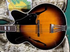 SCHECTER QUANTA-ROW_2