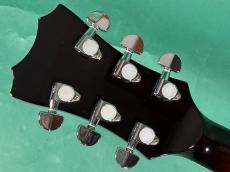 SCHECTER QUANTA-ROW_6