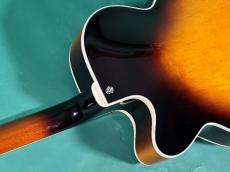 SCHECTER QUANTA-ROW_9