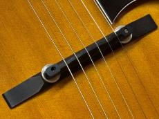 SCHECTER QUANTA-ROW_10