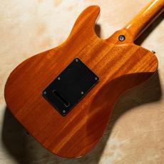 Kz Guitar Works Kz TL Trad 22 2H5 New Guinea Rosewood Top_5