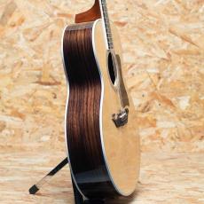Taylor Legacy 815e_4