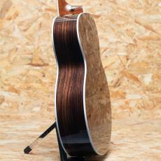 Taylor Legacy 815e_5