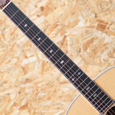 Taylor Legacy 815e_6