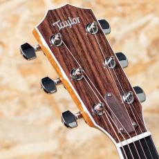 Taylor Legacy 815e_8