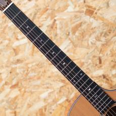 Taylor Legacy 514ce_6