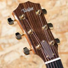 Taylor Legacy 514ce_8