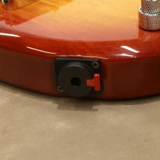 Vigier Arpege V4ECC Amber_9