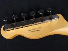 Fender Player II Telecaster White Blonde_9